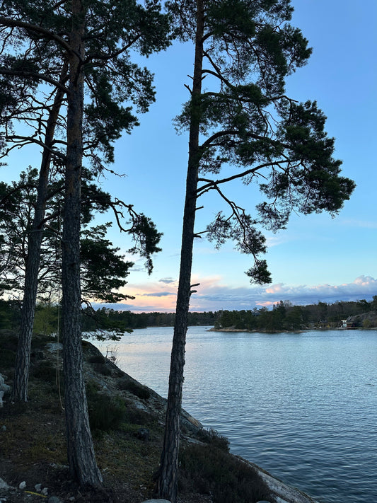 Stockholm archipelago view with summer sun set